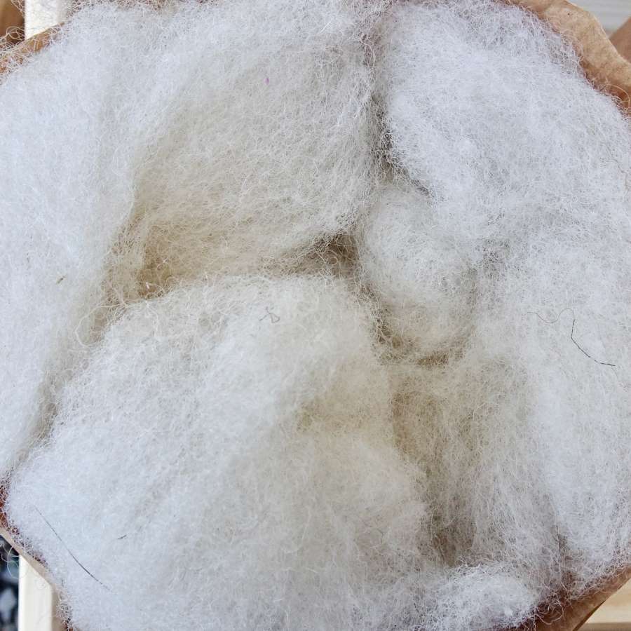 Naturally White, Scoured & Carded Fleece (100g)